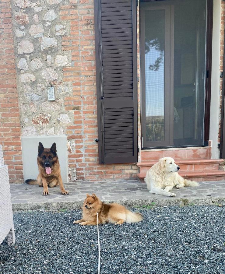 Casa Vacanze Arcobaleno Grosseto Exteriér fotografie