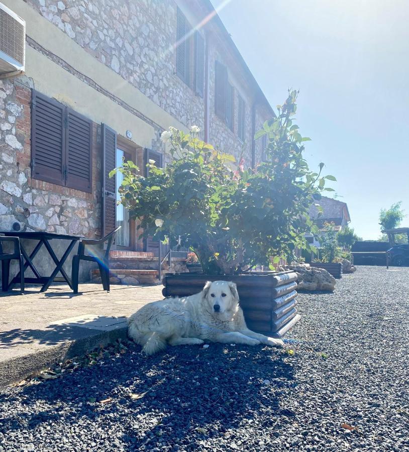 Casa Vacanze Arcobaleno Grosseto Exteriér fotografie